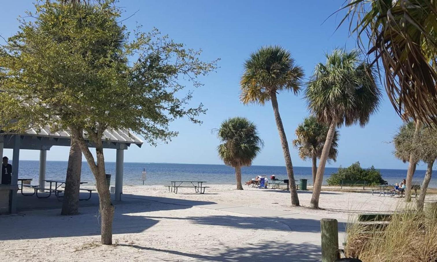 Walk Everywhere! 1-Bedroom Gem In Downtown Hub New Port Richey Zewnętrze zdjęcie