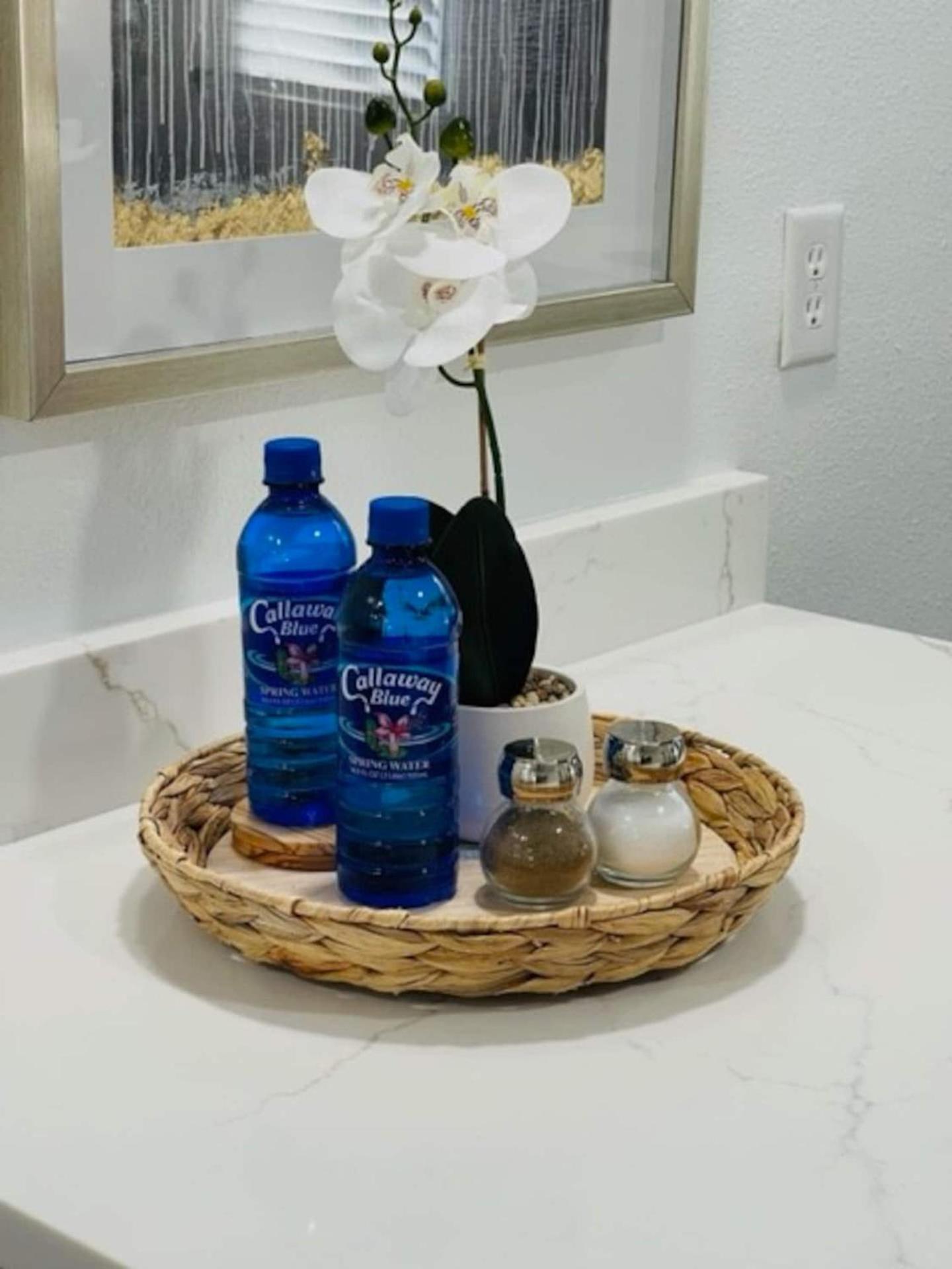 Walk Everywhere! 1-Bedroom Gem In Downtown Hub New Port Richey Zewnętrze zdjęcie