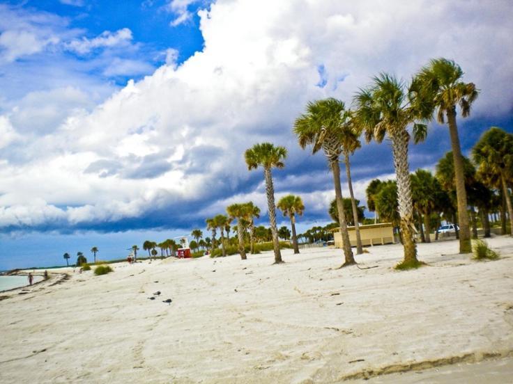 Walk Everywhere! 1-Bedroom Gem In Downtown Hub New Port Richey Zewnętrze zdjęcie