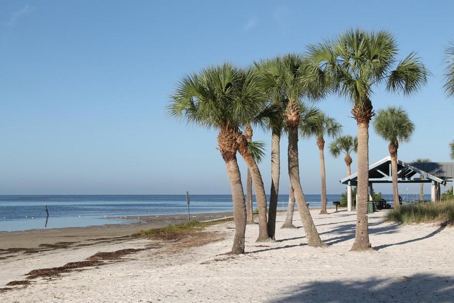 Walk Everywhere! 1-Bedroom Gem In Downtown Hub New Port Richey Zewnętrze zdjęcie